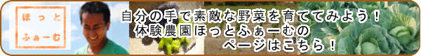 体験農園ほっとふぁーむ