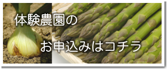 ʗp҂̕