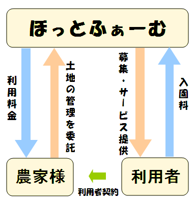 قƂӂ[ނ̐