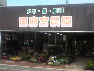 cA퉮