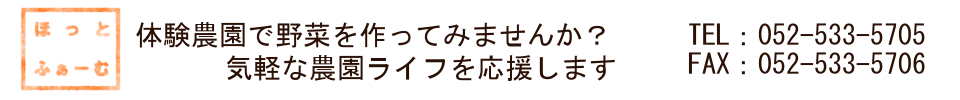 قƂӂ[ފ