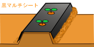 }`