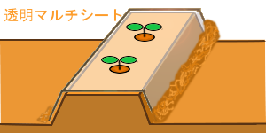 }`