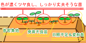ԈQl摜
